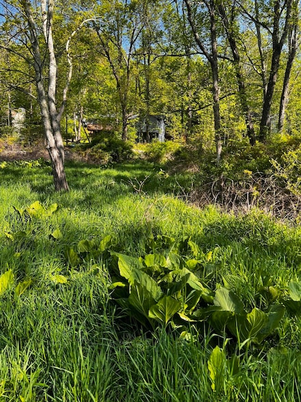 lot 412-41 Marilou Ln, Pocono Township, PA 18321