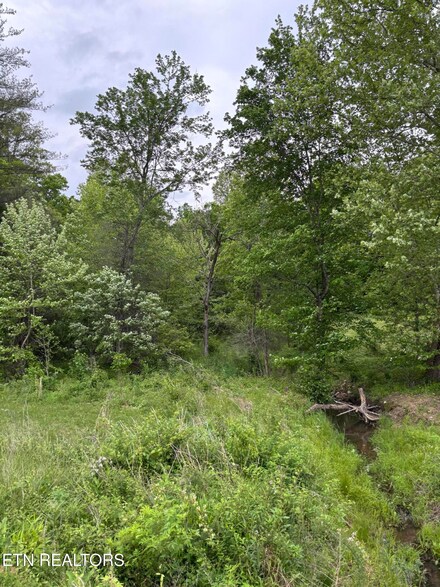 0 Scott Hwy, Winfield, TN 37892