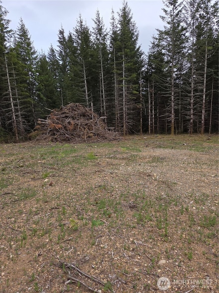 490 E Pinedirosa Rd Unit B, Union, WA 98592
