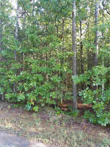 Lot 19 Lackey Rd, Greers Ferry, AR 72067