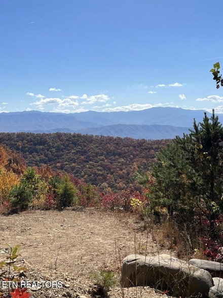 0 English Mountain Rd, Newport, TN 37821