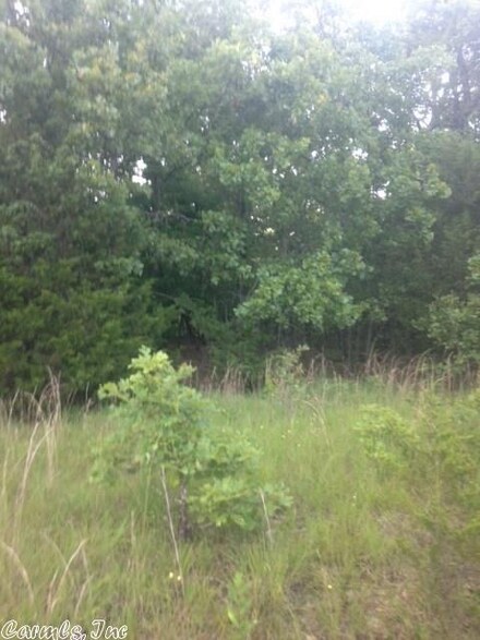 xxx Kennedy Dr, Ash Flat, AR 72513
