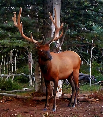 Tbd Dave Wood Rd, Montrose, CO 81403
