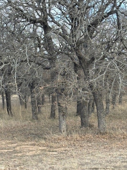 TBD Sugartree Cir, Lipan, TX 76462