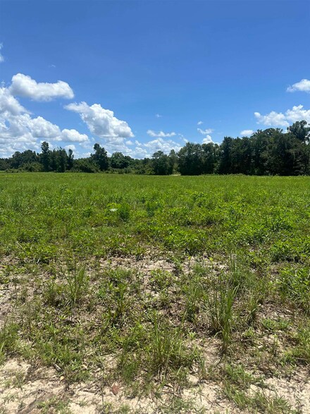 XX Harbin Rd, Quincy, FL 32351