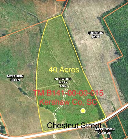 269 Chestnut St, Bethune, SC 29009
