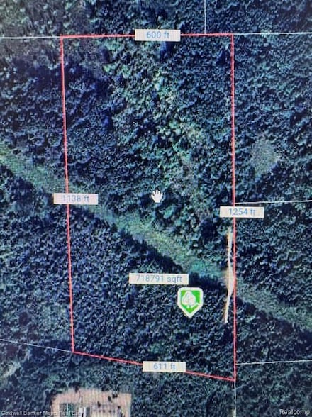 123 N Jerzine Rd N, Holly, MI 48442