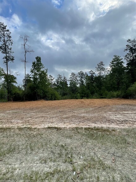 11544 Inspiration Dr, Willis, TX 77378