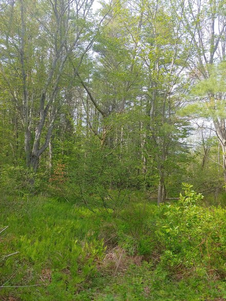 Lot 7 Sanders Rd, Woolwich, ME 04579