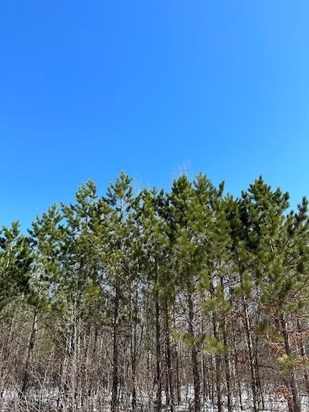 ON Lower Kaubashine Rd Unit 4094-3, Minocqua, WI 54548