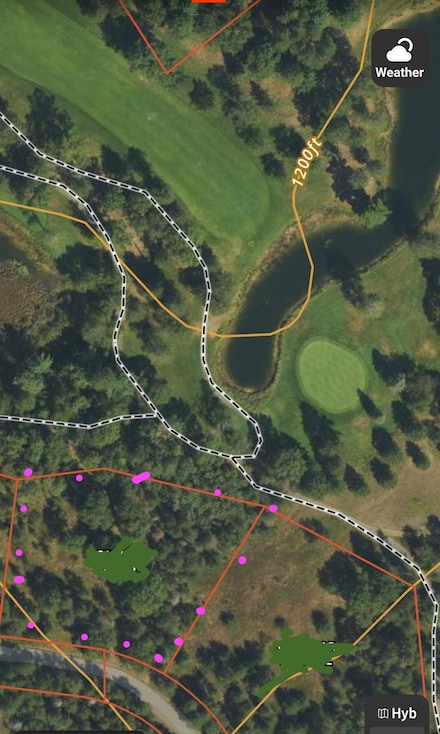 Lot 20 Monarch Trail, Greenwood Township, MI 49756