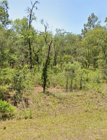 00 NW Mallard Ave, Dunnellon, FL 34432