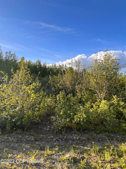13993 Aero Ln, Big Lake, AK 99652