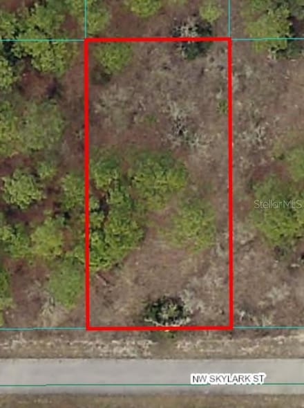 Lot 57 Skylark Ln, Rainbow Lakes Estates, FL 34431