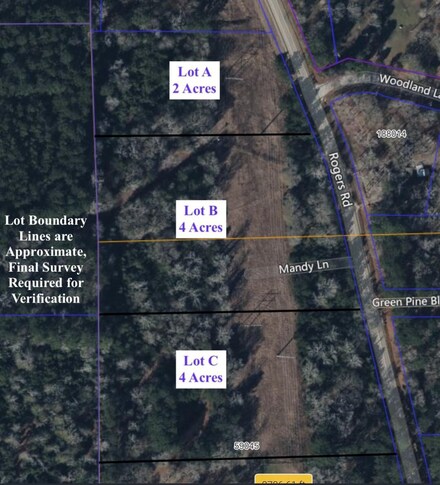 15255 Bb Rogers Rd, Willis, TX 77378