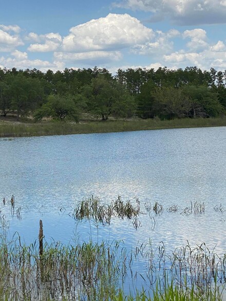 14719 Bream Pond Dr, Southport, FL 32409