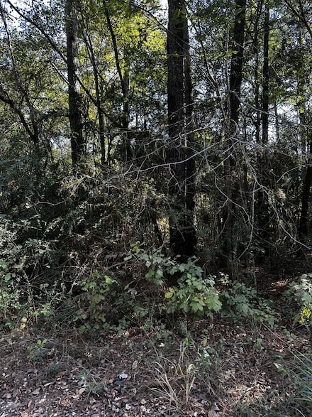 22214 Valley Lane St, Navasota, TX 77868