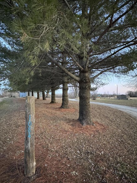 1084 County Road 208, Fayette, MO 65248