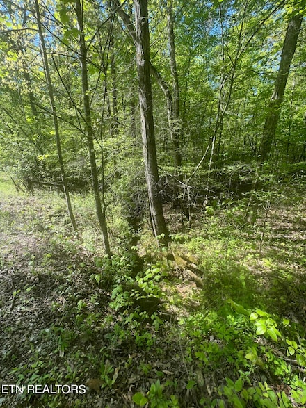 0 Lake Overlook Dr Unit 1260410, Rockwood, TN 37854