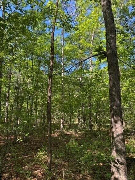 585 Genesis Ln, Tracy City, TN 37387