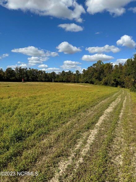 0 Will Inman Rd, Tabor City, NC 28463