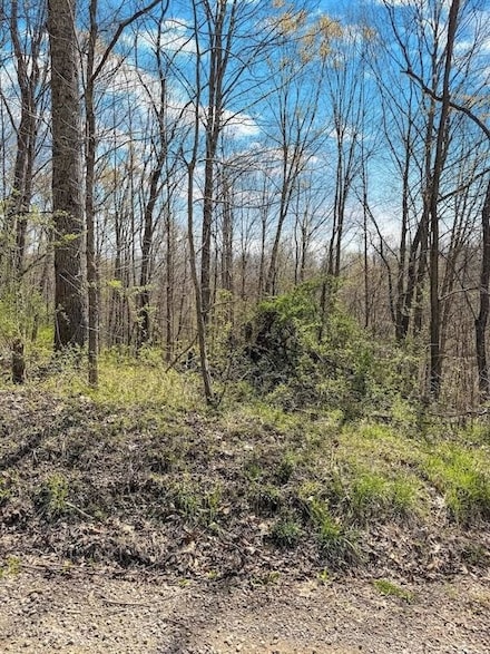 0 Folden Rd Unit LotWP001, Pomeroy, OH 45769