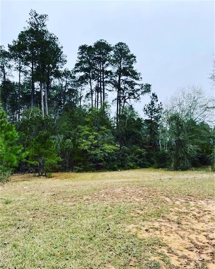 209 Chloe Rd, Pineville, LA 71360