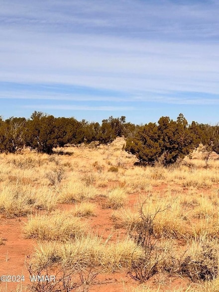 8581 Lawson Ln, Snowflake, AZ 85937