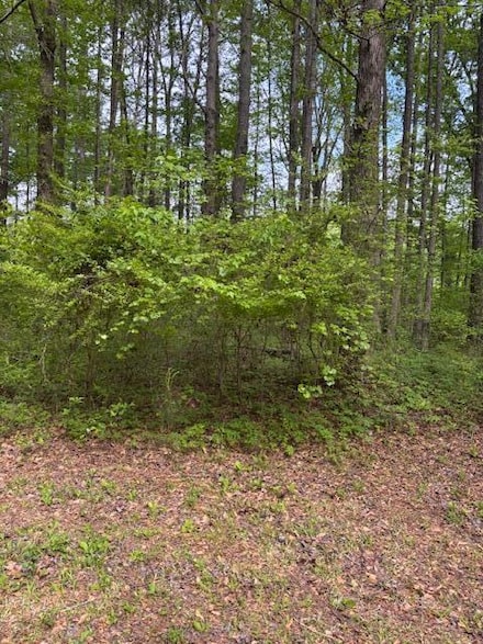 LOT 3 Lotta River, Sipsey, AL 35584
