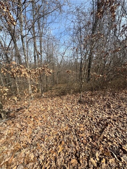 0 Staines Ln Unit 1268743, Bella Vista, AR 72715