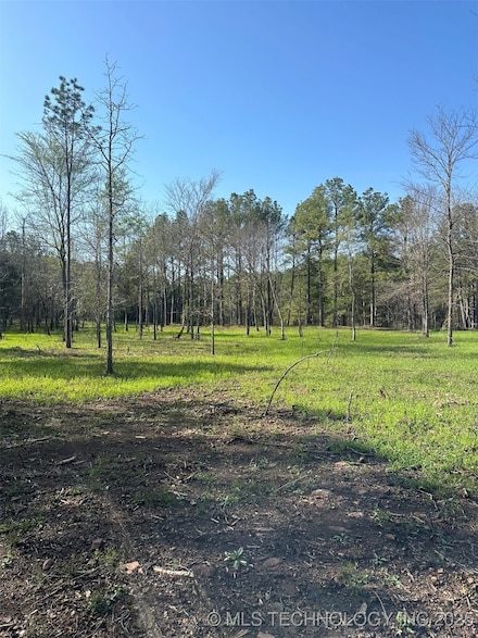 0 Us Hwy 271 Unit 2443291, Clayton, OK 74536