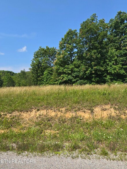 Lot 61 Stone Cliff Ln, Jamestown, TN 38556