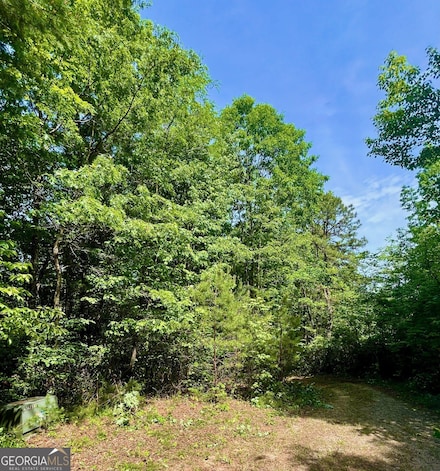 0 Bluff Mountain Unit 23648930, Dillard, GA 30537