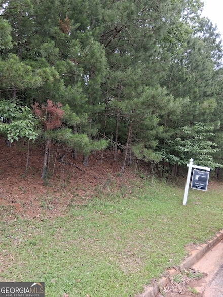 0 Bellevue Dr Unit 10483100, Conyers, GA 30094
