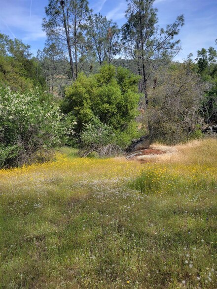 2 Limestone Cir, Yosemite Lakes, CA 93614