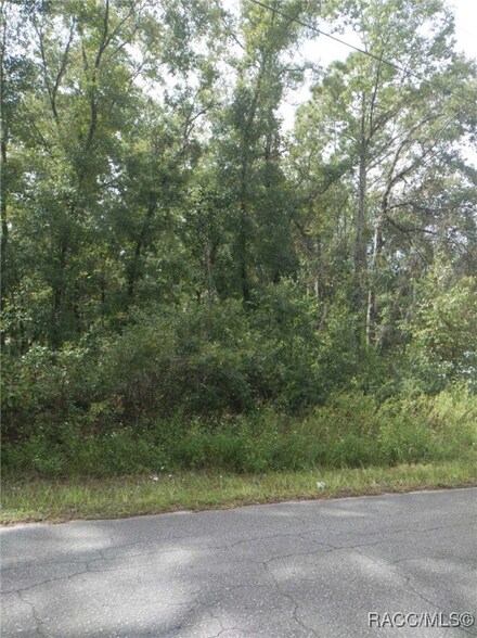 138 N Rooks Ave, Inverness, FL 34453