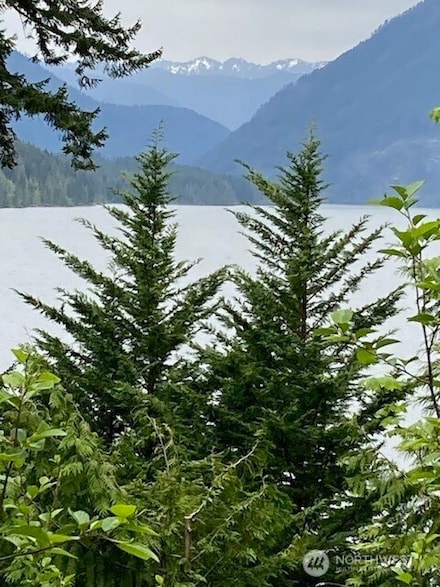 246 Lakeshore Place, Hoodsport, WA 98548
