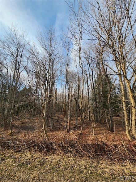 0 Jess Dr Unit S1526252, Redfield, NY 13437
