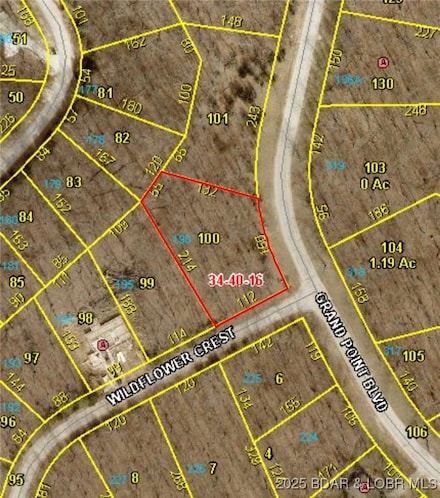 TBD Grand Point Blvd, Jasper Township, MO 65079