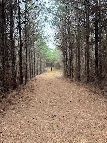 18937 Crawford Rd, Gordo, AL 35466
