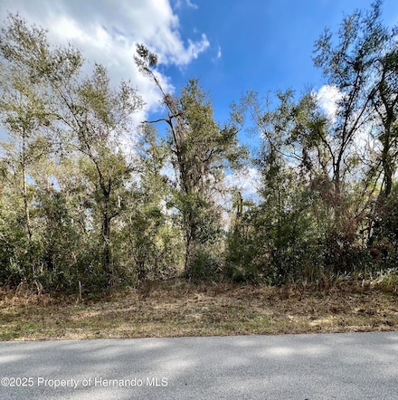 0 Smallman St Unit 2251400, Webster, FL 33597