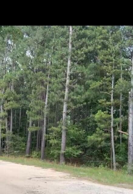 0 Hill Unit 531368, Trenton, SC 29847