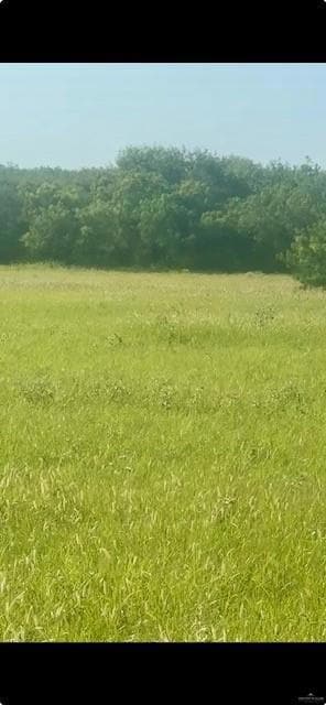 none Fm 2686 Rd, San Carlos, TX 78542