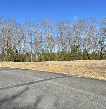 Lot 6 Fern Dr, Clarksville, VA 23927