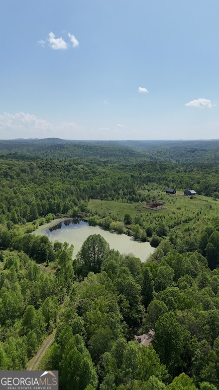 1943 Sandy Flats Rd, Cleveland, GA 30528
