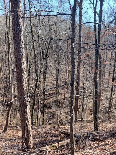 311 Roberts Mill Rd, Hixson, TN 37343