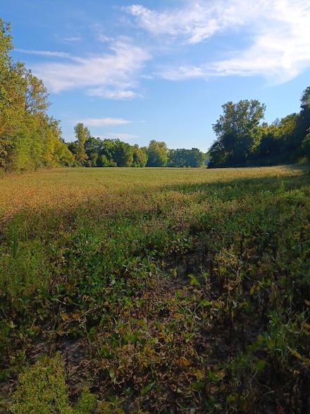 8676 Sidney St, Johnson Township, OH 43072