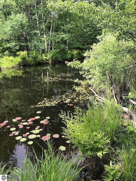 00 W Deborah Ann Trail, Empire, MI 49630