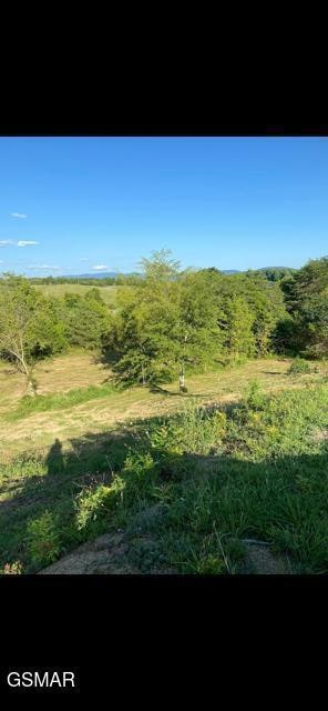 2644 Flat Creek Blvd E, Sevierville, TN 37876