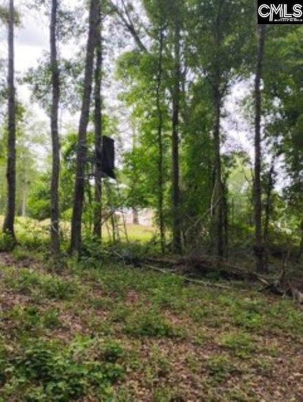 0 Double Pond Rd Unit 608343, Blackville, SC 29817
